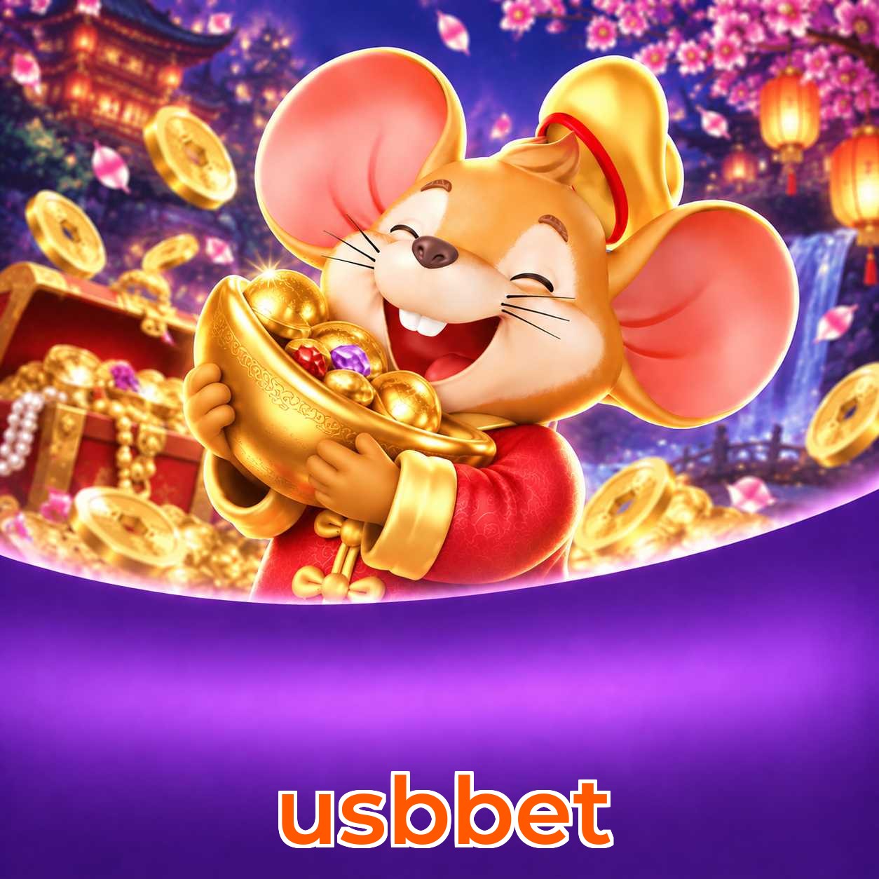 usbbet instalar iPhone Safari PWA
